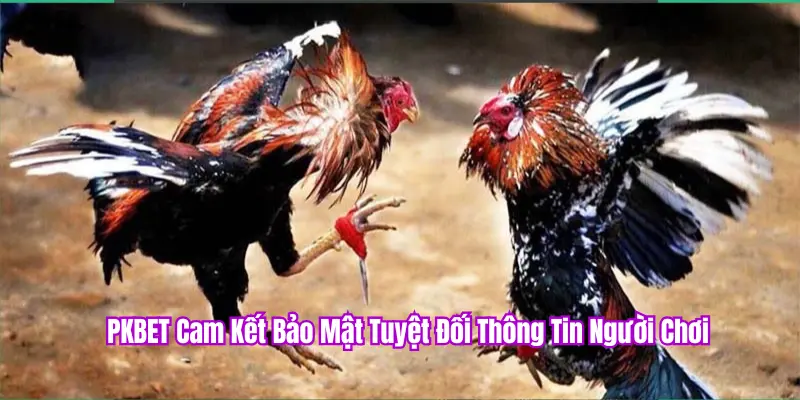 Bảo mật tuyệt đối