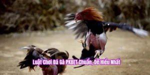 Luật chơi đá gà PKBET