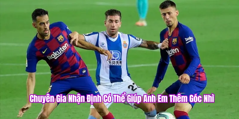 7 Mẹo Vàng Soi Kèo Nhà Cái PKBET Chuẩn Xác, Ít Rủi Ro 2 Tham khảo ý kiến chuyên gia